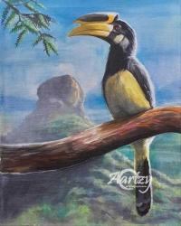 Regal Hornbill thumb