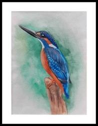 Vibrant Kingfisher thumb