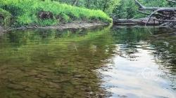 Walking Along Shallow Waters thumb