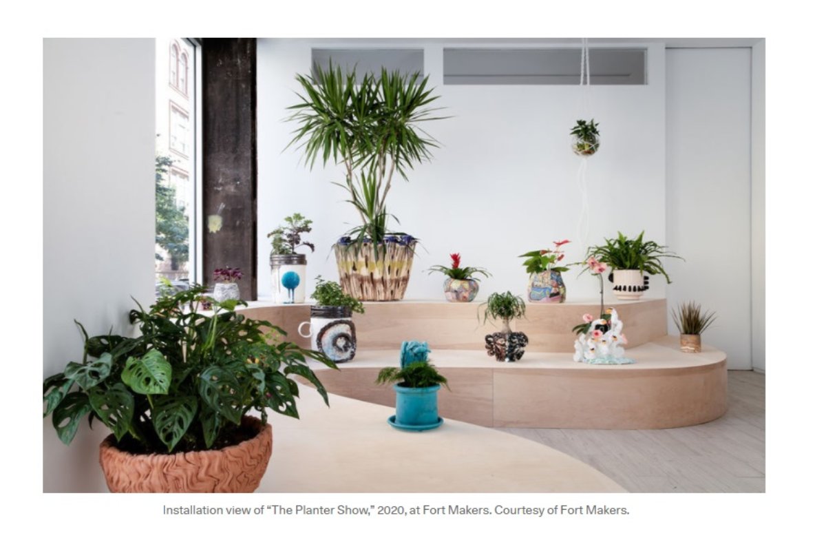 5 Essential Tips for Collecting Ceramics