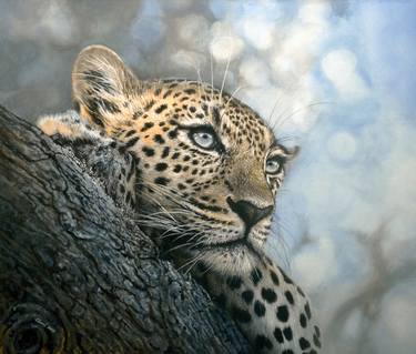 Making of 'Relaxed' (2019)