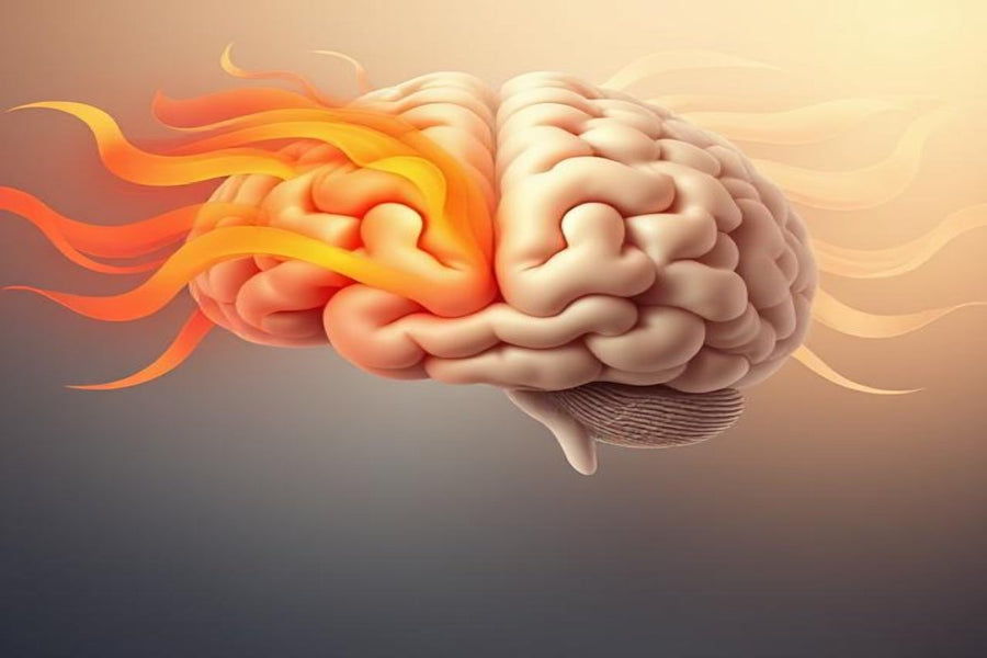 The Psychological Effects of Warm and Neutral Colors