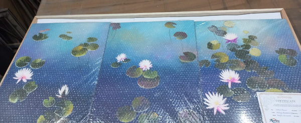 Order delivered to Carina, Australia