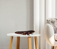 Cold-blooded Determination