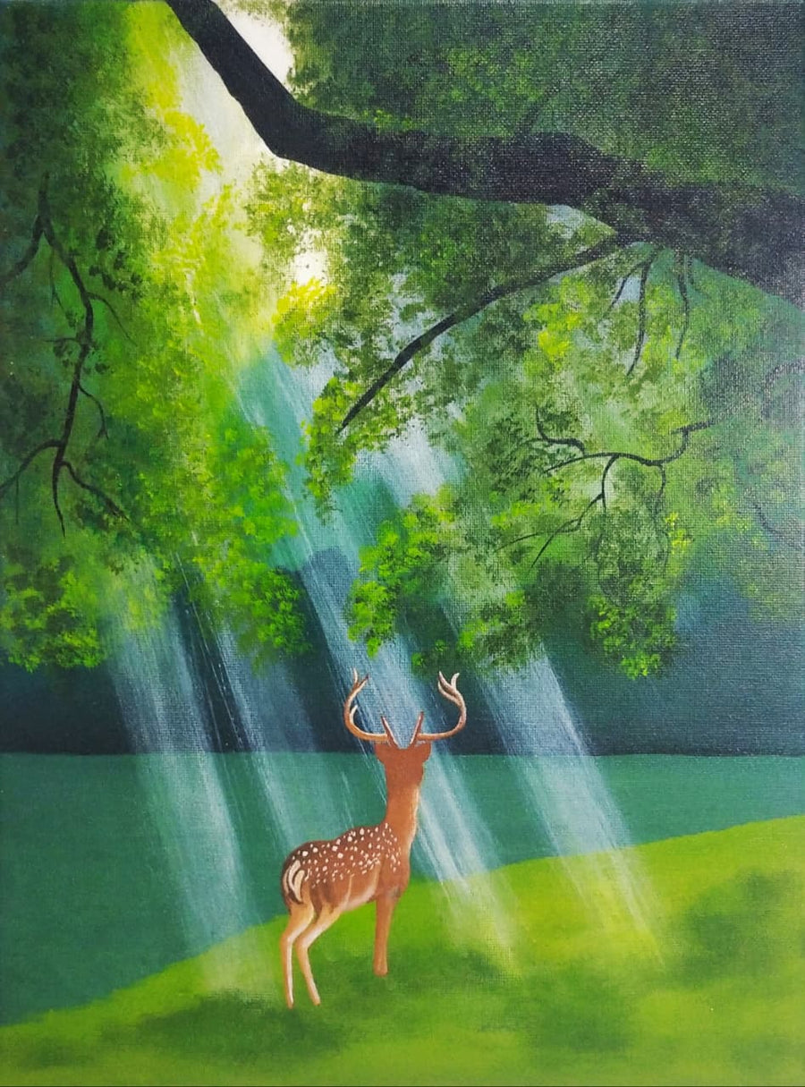 Dappled Light in the Glade