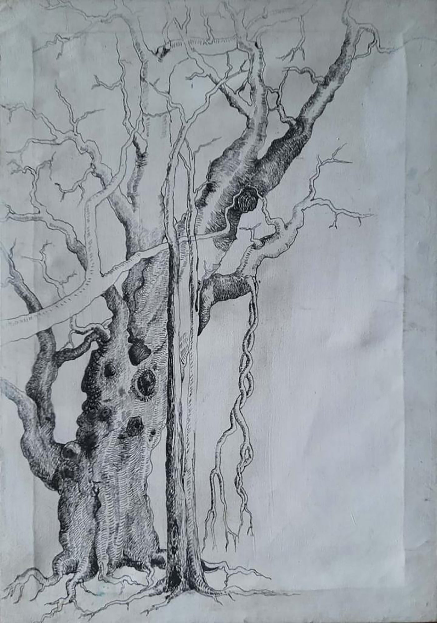 Decayed life