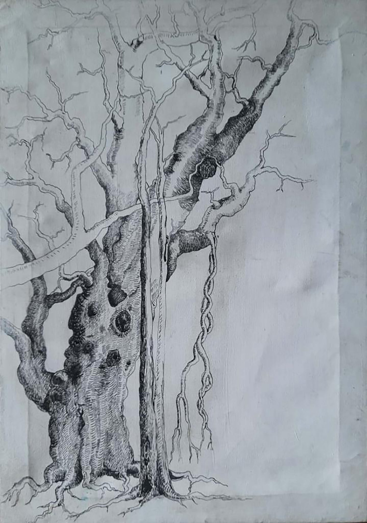 Decayed life