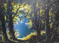 Forest Light Haven