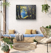 Forest Light Haven