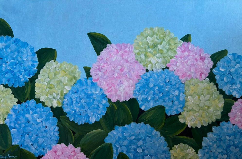 Hydrangea Harmony