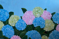 Hydrangea Harmony