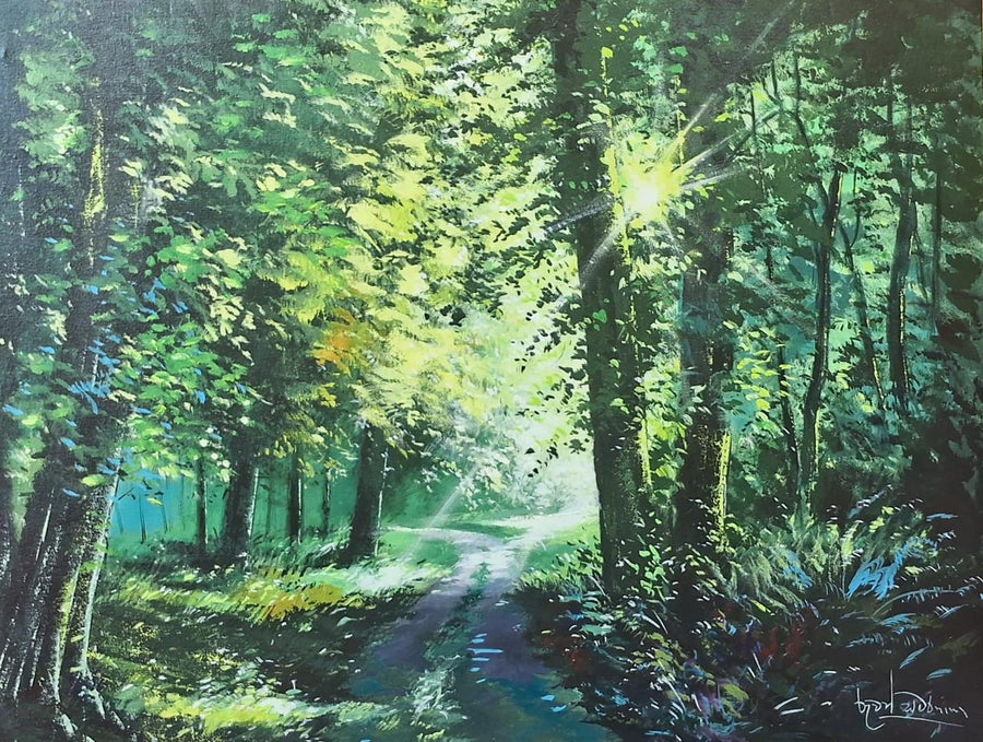 Journey Into the Green Silence