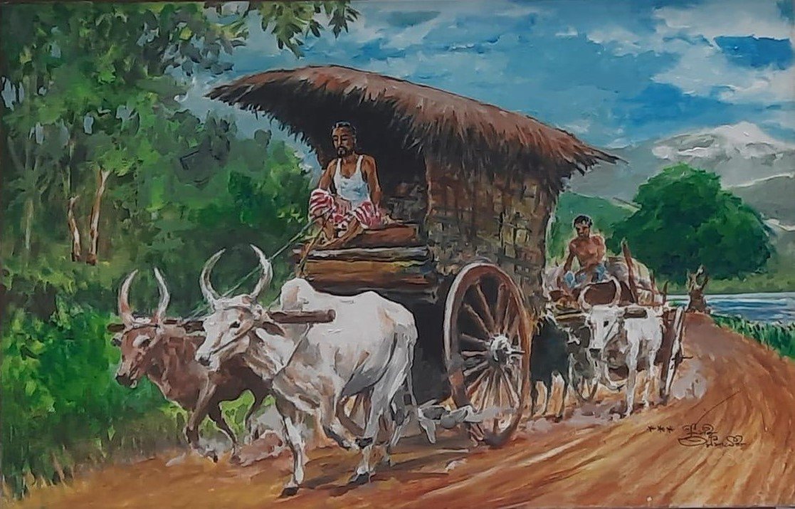 Journey Through the Fields