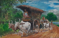 Journey Through the Fields