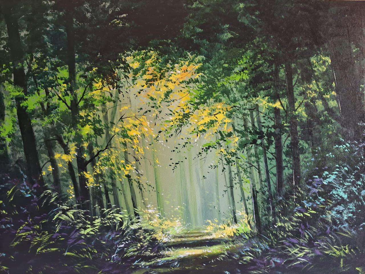 Luminous Woods