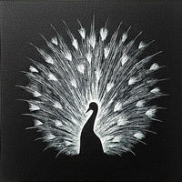 Midnight Peacock