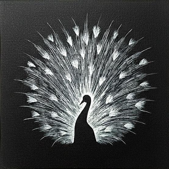 Midnight Peacock