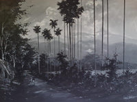 Misty Palm Path