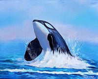 Rising Orca