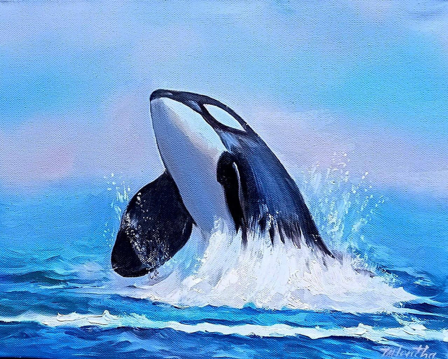 Rising Orca