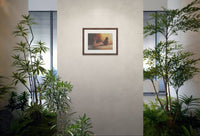 Serenity in Solitude