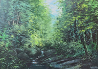 Sunlit Tropical Forest Stream