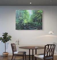 Sunlit Tropical Forest Stream