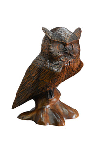 Wise Old Owl