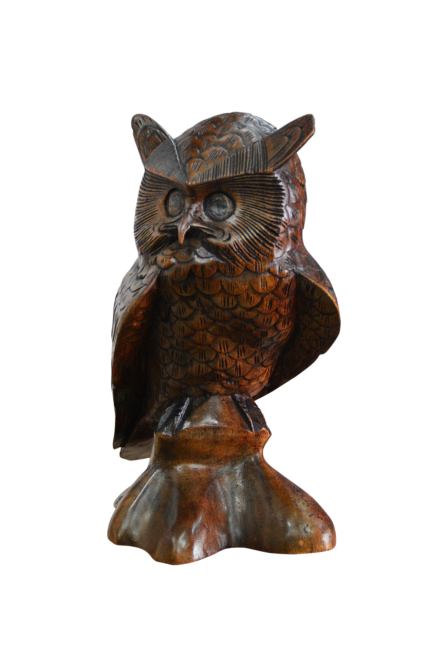 Wise Old Owl