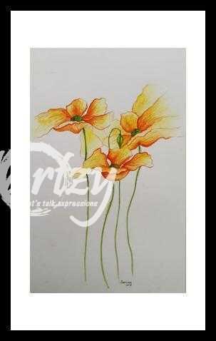 Vibrant Poppies in Bloom