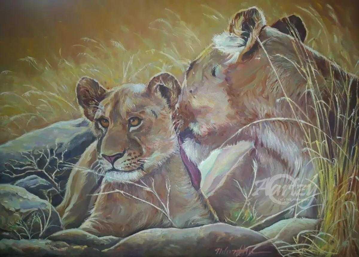 Serengeti Tenderness