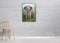 A Tusker