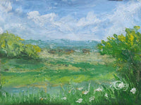 A serene Meadow