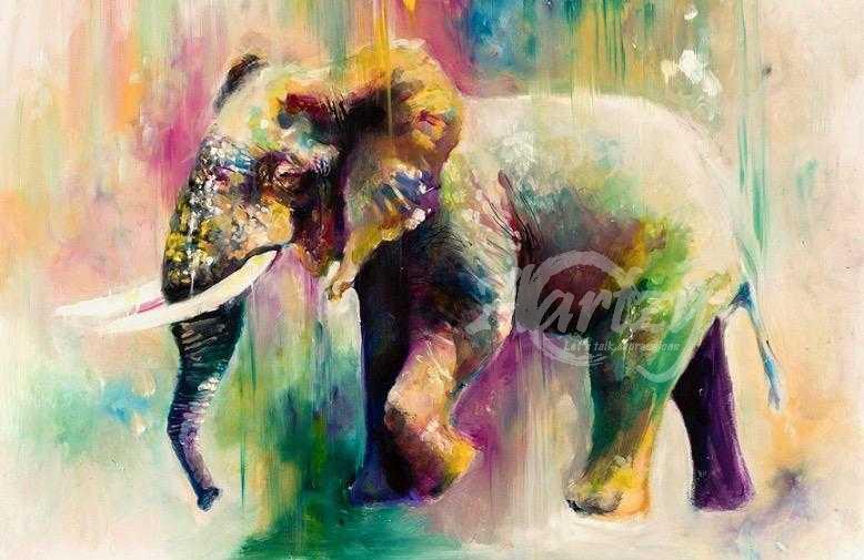 The Tusker and the Dream