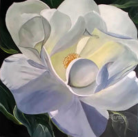 Hidden Beauty