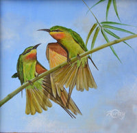 A Bee Eater's Tale