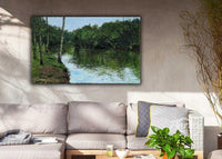 Lake Views
