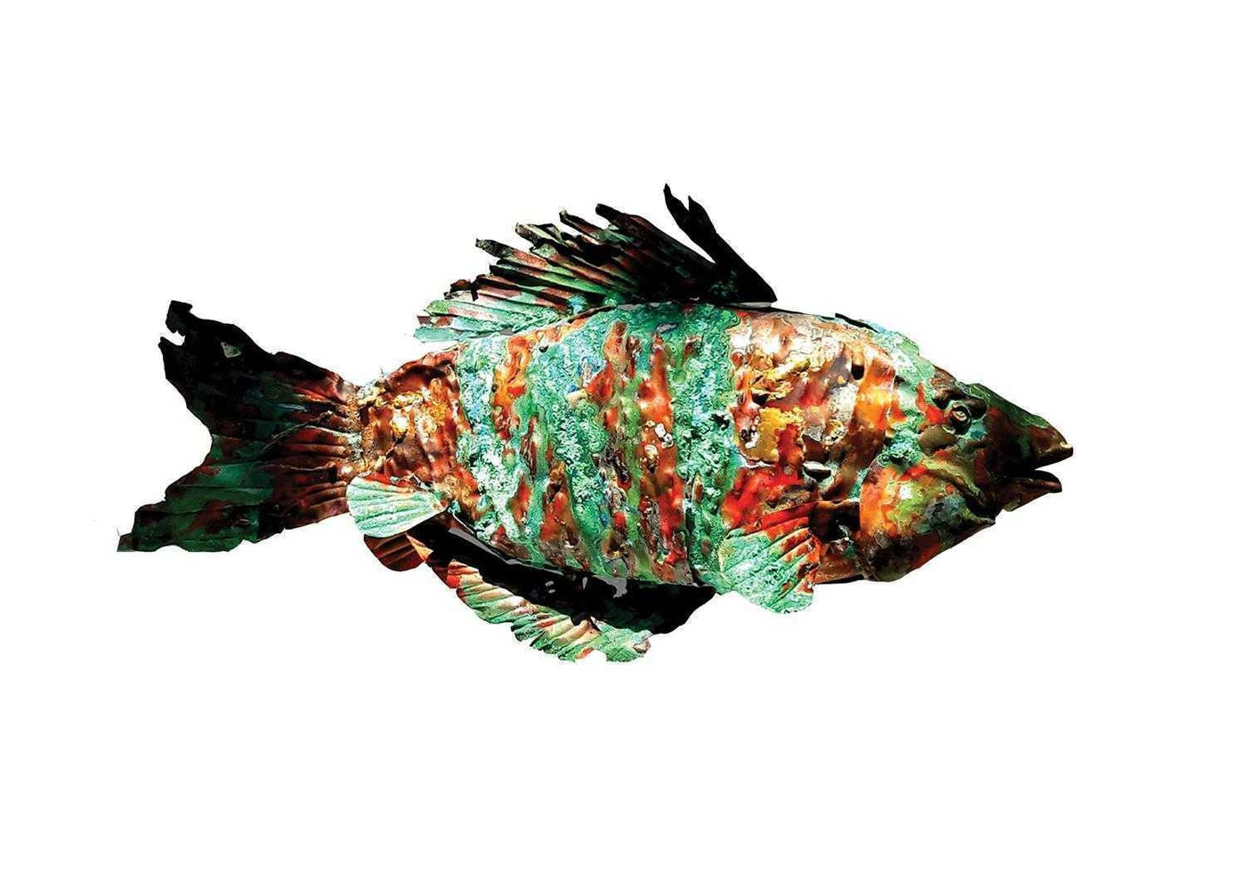 A Colorfful Koi