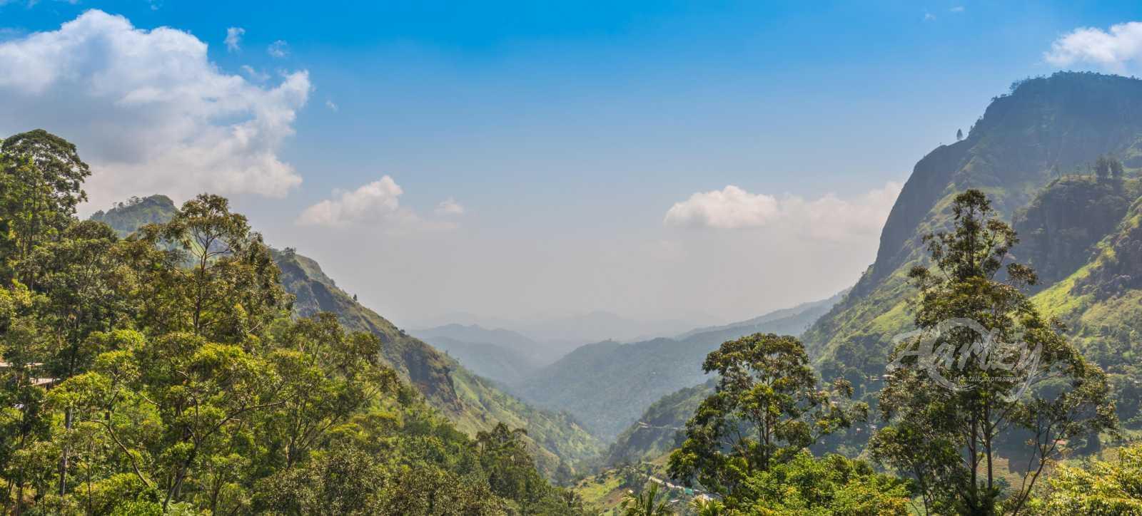 Debate Among the Giants