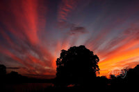 Colors at Dawn