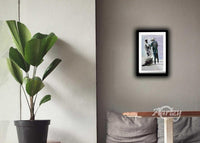 Brotherhood