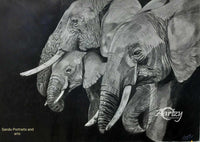 Generations