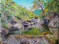 Forest Stream