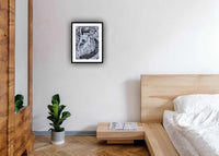 The Economic Collapse