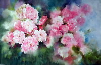 Pink Chrysanthemums