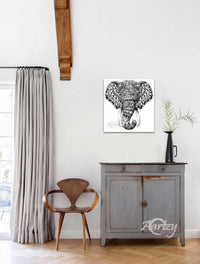 Tribal Splendor