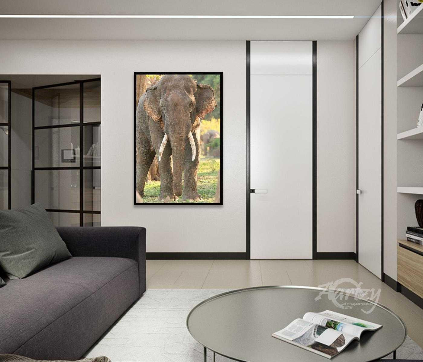 The Gray of An Elephant