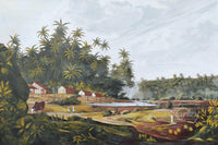 Village Life