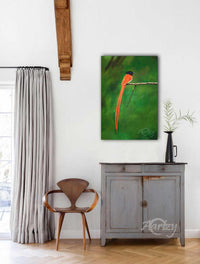 Watchful Flycatcher