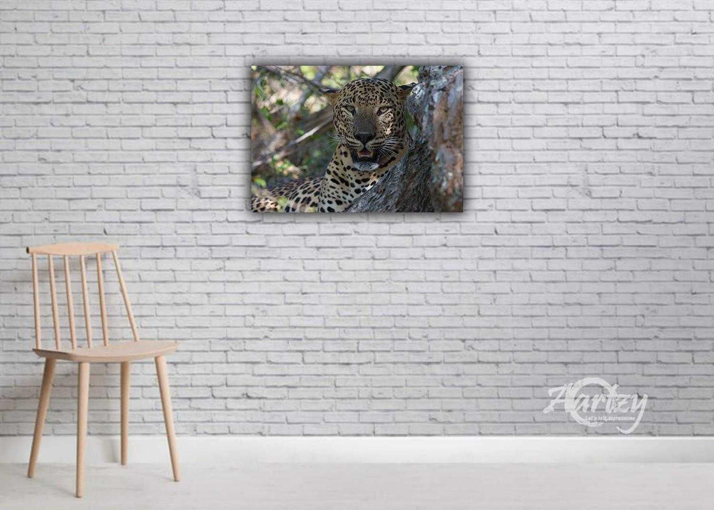 Are You Looking At Me?